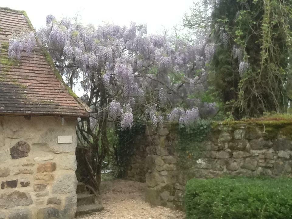 Domaine De Sautou Hotel Castanet  Zewnętrze zdjęcie